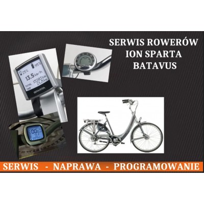 Sparta Batavus Koga ION Serwis diagnoza rower elektryczny